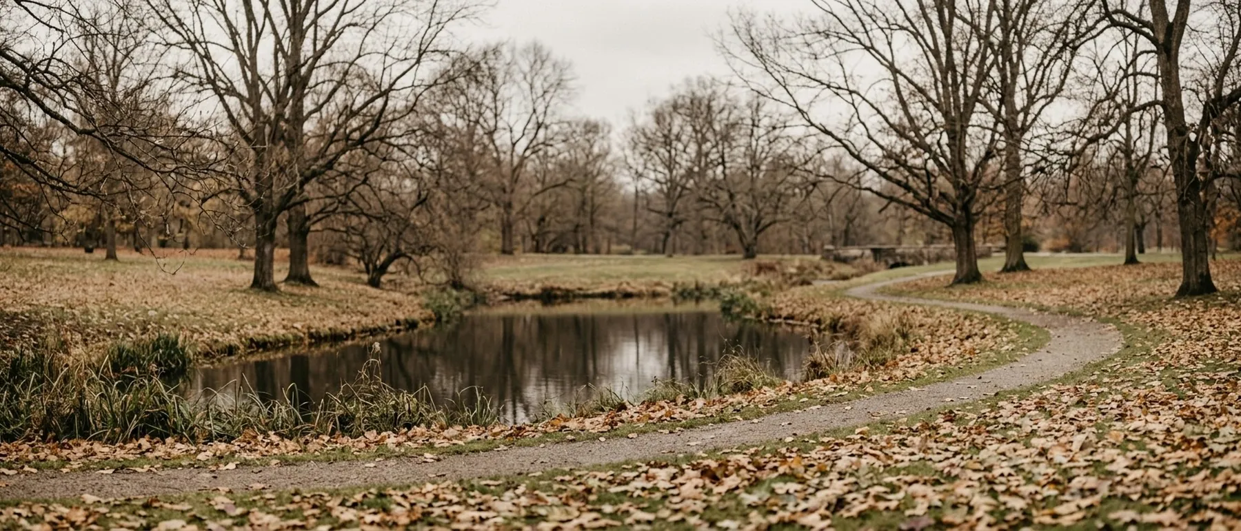 Zámocký park v jeseni